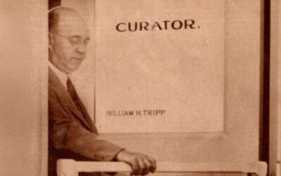 William H. Tripp