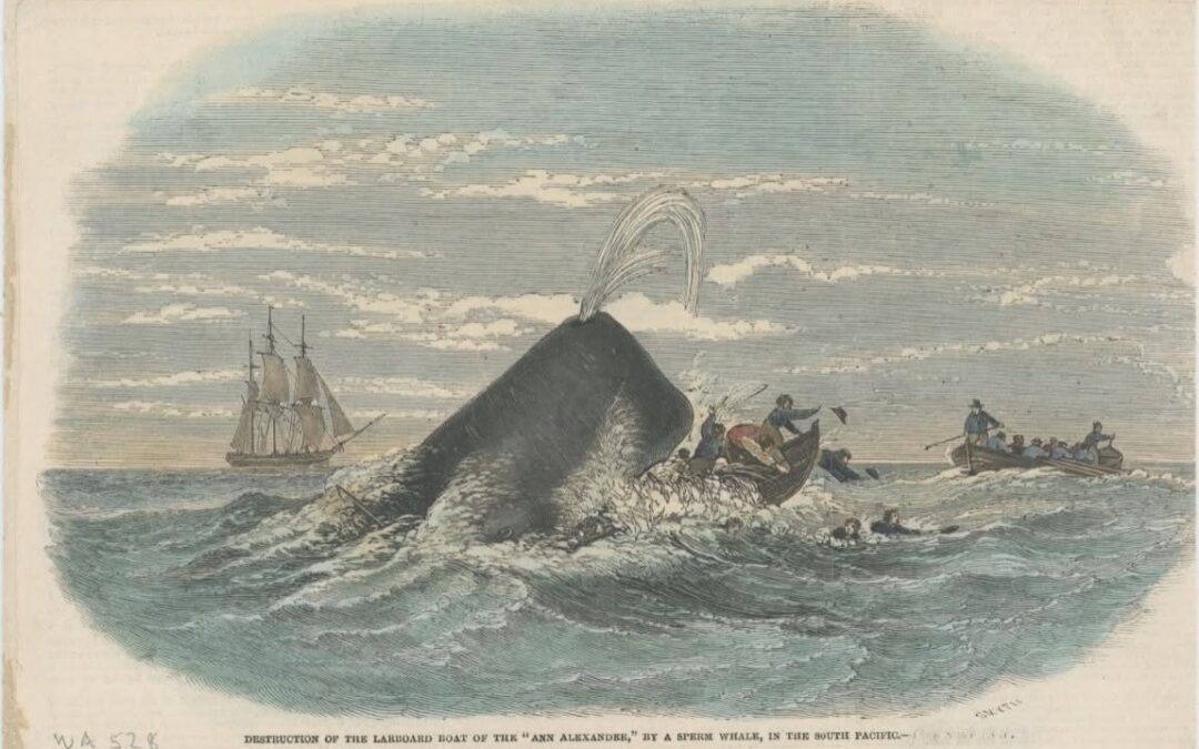 New Bedford whaleship Ann Alexander