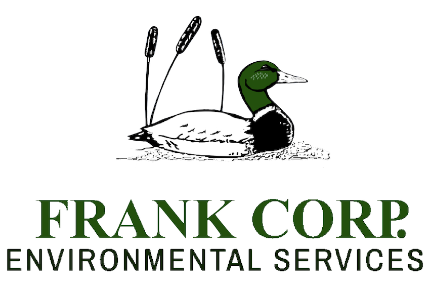 Frank Corp 3:2